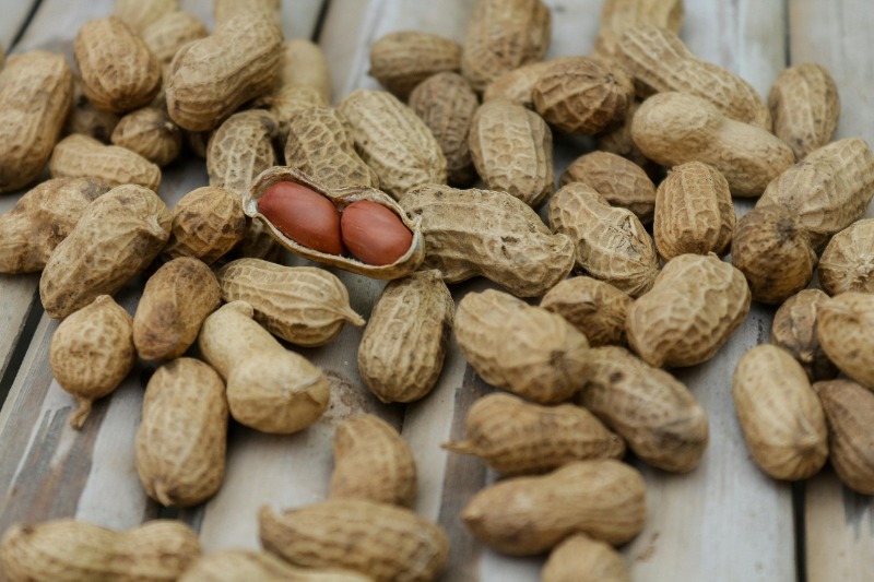 Sind Erdnüsse gut für eine Low-Carb-Ernährung?